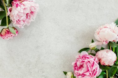 Gri taş masanın üzerinde güzel pembe şakayık çiçekleri ve metin için fotokopi alanı. Düz stil, üst görünüm