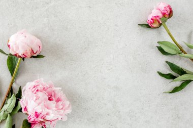 Gri taş masanın üzerinde güzel pembe şakayık çiçekleri ve metin için fotokopi alanı. Düz stil, üst görünüm