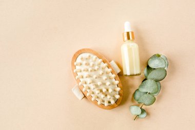 Spa tedavisi konsepti. Doğal, organik kaplıca ürünleri okaliptüs yağı, deniz tuzu, masaj fırçası, okaliptüs yaprağı özü. Spa arkaplanı