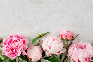 Gri taş masanın üzerinde güzel pembe şakayık çiçekleri ve metin için fotokopi alanı. Düz stil, üst görünüm