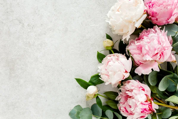 Gri taş masanın üzerinde güzel pembe şakayık çiçekleri ve metin için fotokopi alanı. Düz stil, üst görünüm