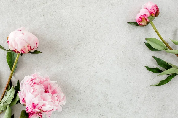 Gri taş masanın üzerinde güzel pembe şakayık çiçekleri ve metin için fotokopi alanı. Düz stil, üst görünüm