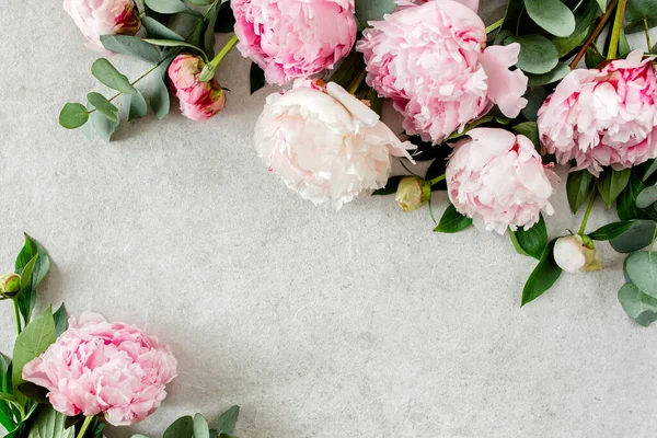 Telaio fatto di peonie rosa fiore su sfondo grigio. Posa piatta, vista dall'alto. Telaio di fiori. — Foto Stock