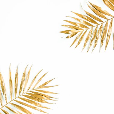 Beyaz arka planda altın tropik palmiye yaprakları. Düz konum, üst görünüm minimum konsept.