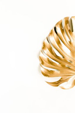 Altın tropikal palmiye beyaz arka planda Canavar bırakır. Düz konum, üst görünüm minimum konsept.