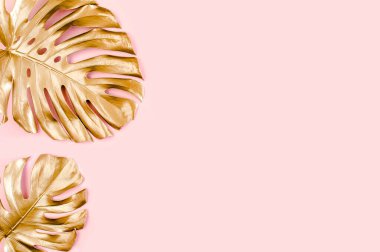 Altın tropikal palmiye pembe arka planda Canavar bırakır. Düz konum, üst görünüm minimum konsept.