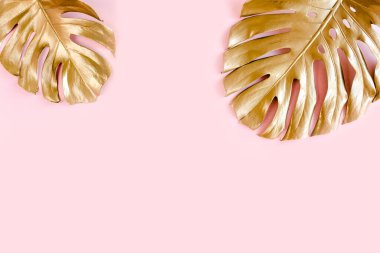 Altın tropikal palmiye pembe arka planda Canavar bırakır. Düz konum, üst görünüm minimum konsept.