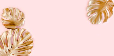 Altın tropikal palmiye pembe arka planda Canavar bırakır. Düz konum, üst görünüm minimum konsept.