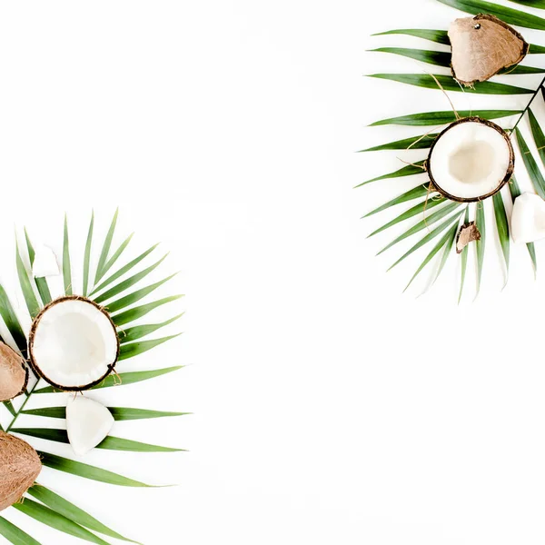 Tropické zelené palmové listy a popraskané kokosové ořechy na bílém pozadí. Příroda. byt ležel, horní pohled — Stock fotografie