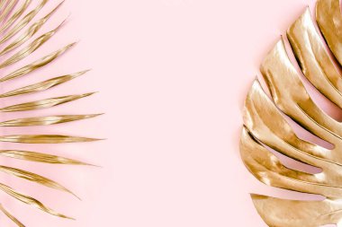 Altın tropikal palmiye pembe arka planda Canavar bırakır. Düz konum, üst görünüm minimum konsept.