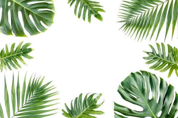 Rámeček s exotickými tropickými palmami listí monstera na bílém pozadí. Byt ležel, horní pohled. — Stock fotografie