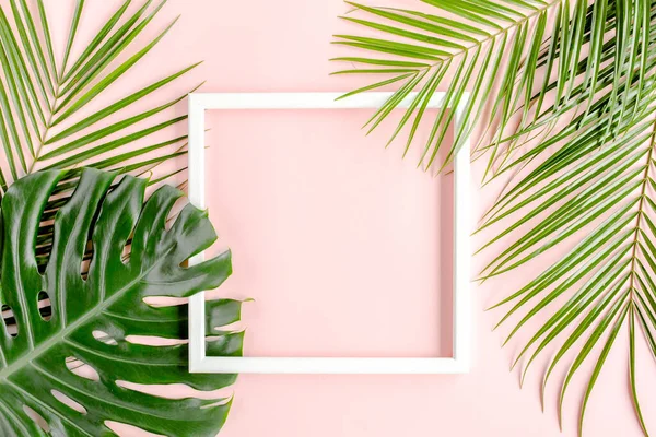 Tropikal palmiye yaprağı canavarı ve pembe arkaplandaki yazı için beyaz çerçeve. Düz yatış, üst görünüm — Stok fotoğraf