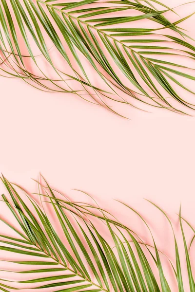 Feuilles de palmier tropicales sur fond rose. Pose plate, vue du dessus concept minimal. — Photo