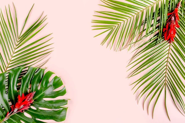 Tropical palm leaves Monstera on pink background. Flat lay, top view minimal concept.