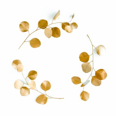 Altın dallardan yapılmış altın yuvarlak çerçeve okaliptüs ve beyaz arka planda izole edilmiş yapraklar. Düz uzan, üst görünüm