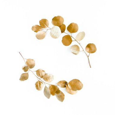 Altın dallardan yapılmış altın yuvarlak çerçeve okaliptüs ve beyaz arka planda izole edilmiş yapraklar. Düz uzan, üst görünüm