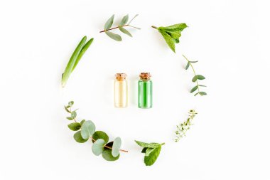 Temel yağ ve yuvarlak çelenk çerçevesi, beyaz arka planda bitkilerden, yeşillik dallarından, nane yapraklarından, okaliptüs, kekik ve bitki koleksiyonundan yapılmıştır.. 