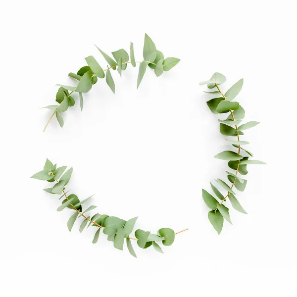 Wreath frame gemaakt van takken eucalyptus geïsoleerd op witte achtergrond. plat, bovenaanzicht — Stockfoto