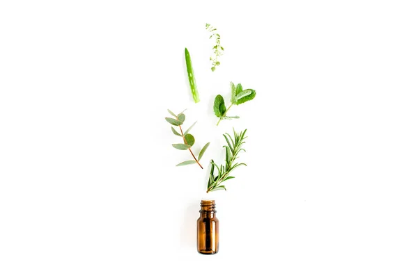 Essential oil and mix of herbs, green branches, leaves eucalyptus, aloe Vera, rosemary, thyme on white background. Flat lay. Top view. — Stock Photo, Image