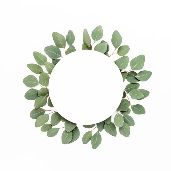 Wreath frame made of branches eucalyptus and leaves isolated on white background. lay flat, top view — Stock Photo, Image