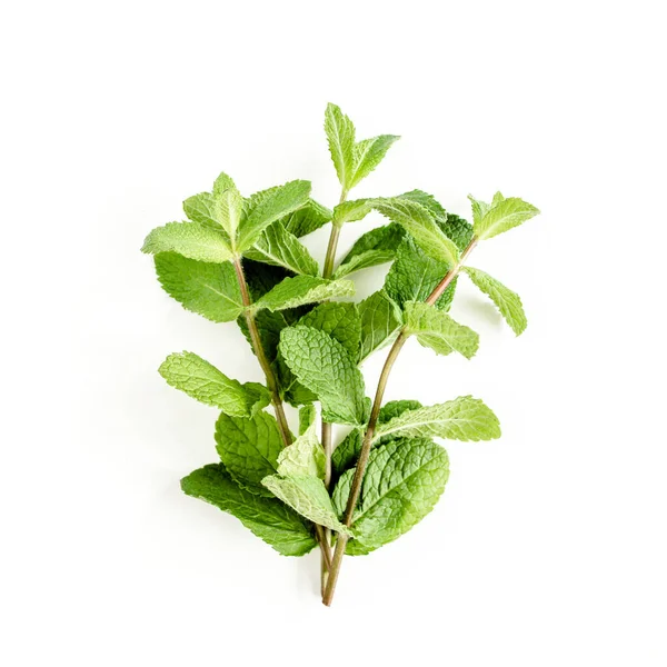 Cabang hijau dan daun Mint terisolasi pada latar belakang putih. Satu set peppermint. Pola Mint. Berbaringlah. Tampilan atas. — Stok Foto