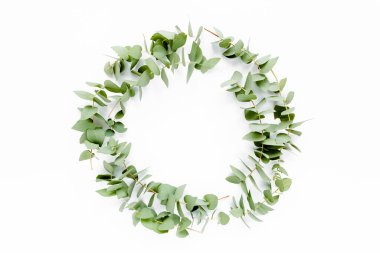 Beyaz arka planda izole edilmiş okaliptüs dallarından yapılmış çelenk çerçevesi. Düz uzan, üst görünüm