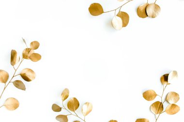 Altın dalların sınırlarında, okaliptüs yaprakları beyaz arkaplanda. düz düzen, üst görünüm