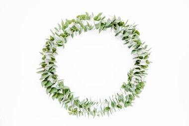 Beyaz arka planda izole edilmiş okaliptüs dallarından yapılmış çelenk çerçevesi. Düz uzan, üst görünüm