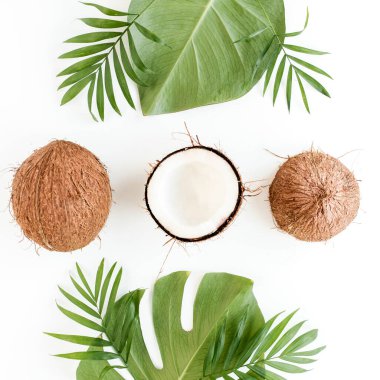 Beyaz arka planda, hindistan cevizi ve tropikal palmiye yapraklarıyla çerçevelenmiş desen. Tropik soyut arka plan. Düz yatış, üst görünüm.