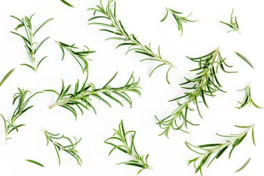 Yeşil dal ve biberiye yaprakları beyaz arka planda izole edilmiş. Bitkiler. Düz yatıyordu. Üst görünüm