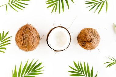 Beyaz arka planda hindistan cevizi ve tropikal palmiye yapraklı desen. Tropik soyut arka plan. Düz yatış, üst görünüm.