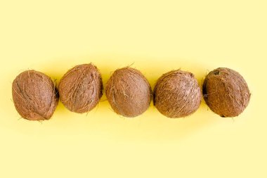 Sarı arka planda hindistan cevizi ve tropik palmiye yapraklı desen. Tropik soyut arka plan. Düz yatış, üst görünüm.