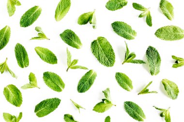 Nane yaprakları beyaz arka planda izole. Nane şekeri seti. Darphane deseni. Düz yatıyordu. Üst görünüm.