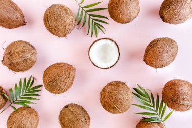 Kalıp, hindistan cevizli doku ve pembe arka planda tropikal palmiye yaprakları. Tropik soyut arka plan. Düz yatış, üst görünüm.