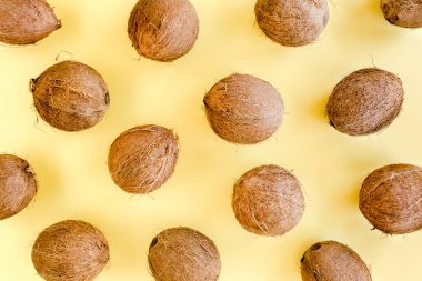 Sarı arka planda hindistan cevizi ve tropik palmiye yapraklı desen. Tropik soyut arka plan. Düz yatış, üst görünüm.