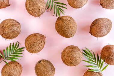 Kalıp, hindistan cevizli doku ve pembe arka planda tropikal palmiye yaprakları. Tropik soyut arka plan. Düz yatış, üst görünüm.