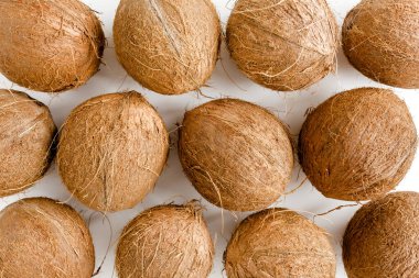 Beyaz arka planda hindistan cevizi deseni. Tropik soyut arka plan. Düz yatış, üst görünüm.