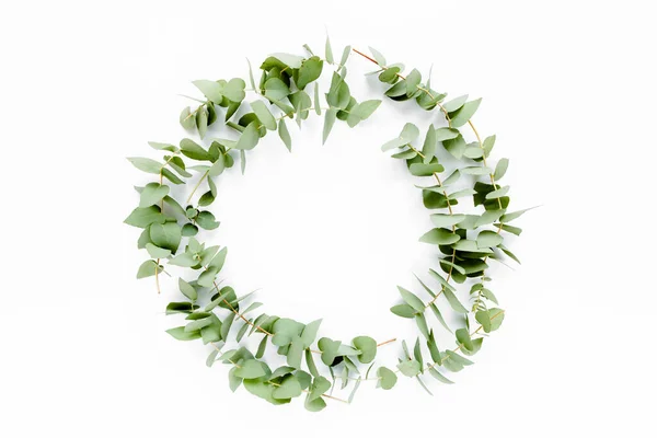 Wreath frame made of branches eucalyptus isolated on white background. lay flat, top view — Stock Photo, Image