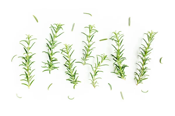 Zielona gałąź i liście rozmarynu odizolowane na białym tle. Zioła. Leżeć płasko. Widok z góry — Zdjęcie stockowe