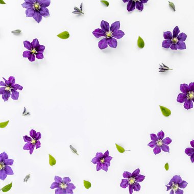 Mor çiçeklerden, yeşil yapraklardan ve beyaz arkaplanda dallardan oluşan çiçek deseni. Daire üst manzaralı. Çiçek arkaplan. Çiçek çiziyorum..