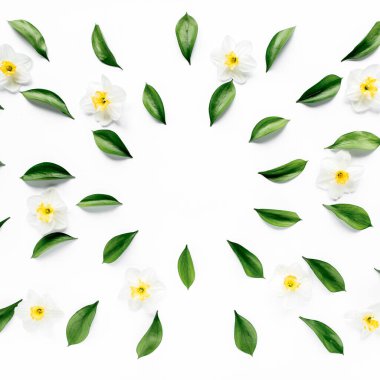 Sarı laleler beyaz, ahşap bir arka planda izole edilmiş. Düz uzan, üst görünüm