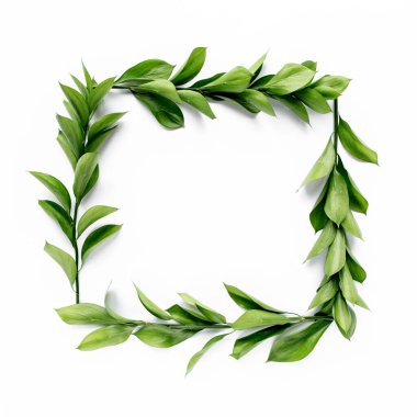 Beyaz arka planda yeşil yaprakları ve dalları olan çerçeve çalışma alanı. Düz uzan, üst görünüm