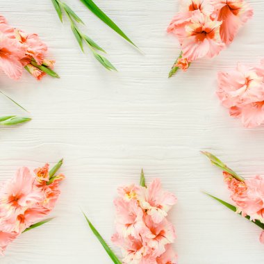 Ahşap beyaz arka planda pembe gladyatörler. Gladioli bayram tebrik kartının çiçek deseni. Düz yerde, üst tarafta. Çiçek çerçevesi. Çiçek dokusu