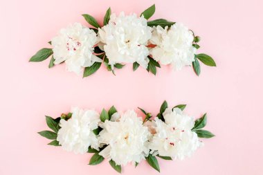 Beyaz şakayık çiçekleri çerçevesi, pembe arka planda yazı için yer var. Şakayık desenli. Düz yatış, üst görünüm. 