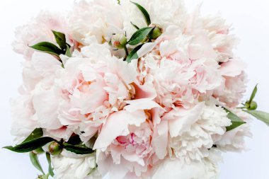 Bir sürü pembe renkli şakayık buketi yakın plan. Düz yerde, üst tarafta. Şakayık çiçek dokusu.