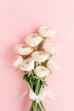 Pembe arka planda pastel pembe ranunculus çiçeği buketi. Minimum çiçek konsepti. Düz yatış, üst görünüm.