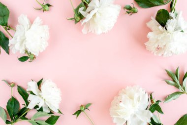 Beyaz şakayık çiçekleri çerçevesi, pembe arka planda yazı için yer var. Şakayık desenli. Düz yatış, üst görünüm. 