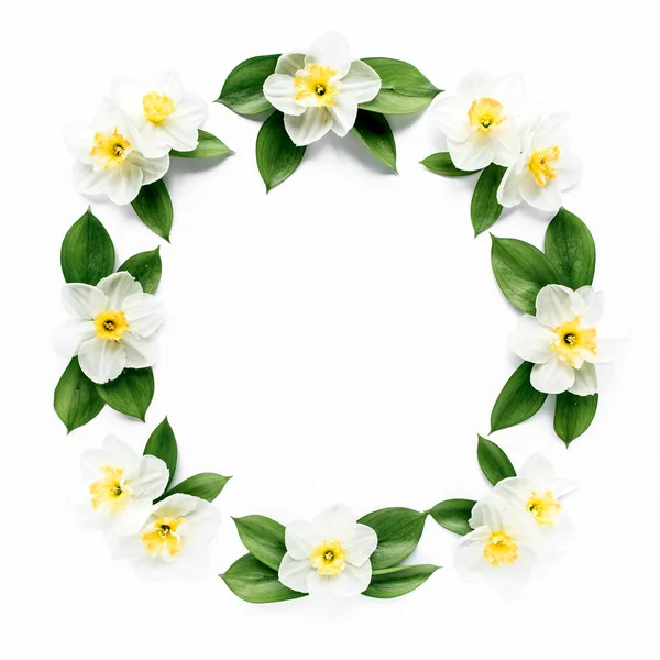 Round frame with white flower narcissus, chamomiles buds, branches and leaves isolated on white background. lay flat, top view