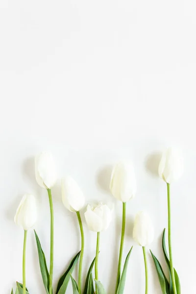 Белый тюльпаны на белом фоне. Минимальный цветочный концепт. Плоский, вид сверху. — стоковое фото
