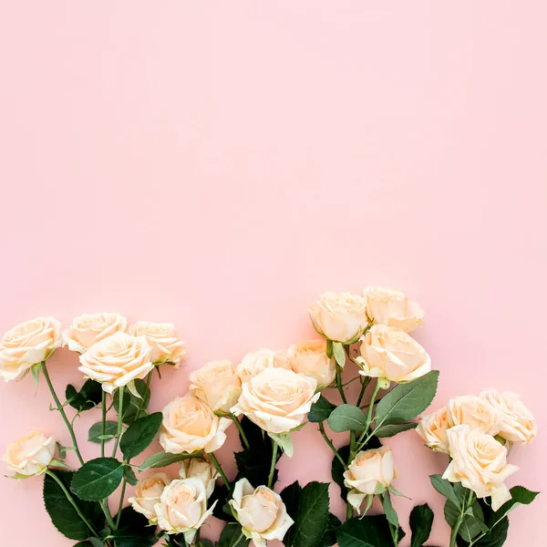 Thé pastel fleurs roses sur fond rose. Fond floral. Concept floral minimal. Couché plat, vue du dessus. — Photo